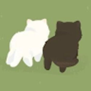 Meet your Posher, Abigail